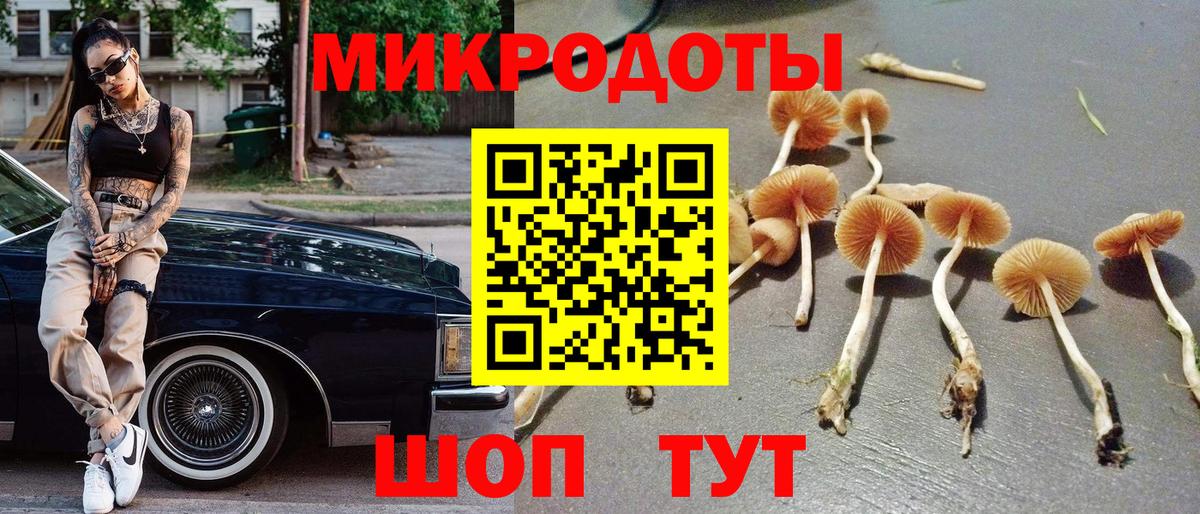 Псилоцибиновые грибы Cubensis Щёкино