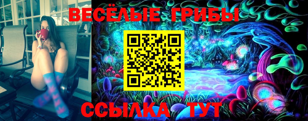Щёкино  Псилоцибиновые грибы GOLDEN TEACHER  Вход с VPN  Псилоцибиновые грибы GOLDEN TEACHER 